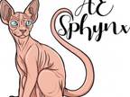 Ae Sphynx