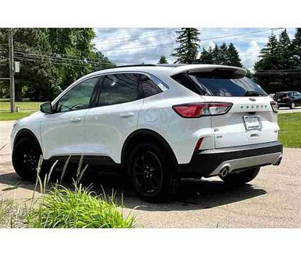 2020 Ford Escape SE is a White 2020 Ford Escape SE SUV in Ortonville MI