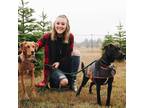 Experienced Pet Sitter in Monroe, Oregon! Can travel to Albany all the way to