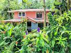 Home For Sale In Pahoa, Hawaii