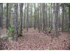 Plot For Sale In Fort Mccoy, Florida