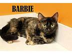 Barbie, Domestic Shorthair For Adoption In Mooresville, North Carolina