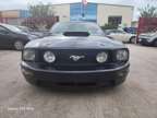 2006 Ford Mustang for sale