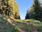 N. California Land.91 acres for Sale