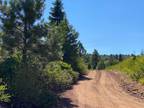 California Forest Land 1 Acres, Close to Small Lake