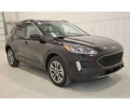 2021 Ford Escape SEL Hybrid is a Black 2021 Ford Escape SEL Hybrid in Canfield OH