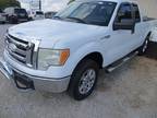 2010 Ford F-150 For Sale