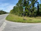 Plot For Sale In Orlando, Florida