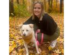 Experienced & Caring Pet Owner in Arnprior, Ontario $25/hr