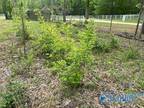 Plot For Sale In New Market, Alabama