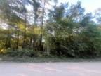 Plot For Sale In Tallahassee, Florida