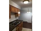 Condo For Rent In Mount Prospect, Illinois