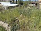 Plot For Sale In Miami, Arizona