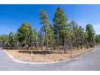 Lakeside, Beautiful Top of The Woods subdivision with tall
