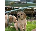 Lenny "Red"