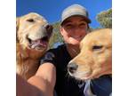 Experienced Fountain, Colorado Pet Sitter - Reliable, Affordable