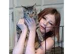 Experienced Gilbert, Arizona Pet Sitter Affordable Hourly Rates