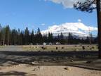 Home For Sale In Weed, California
