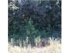 Plot For Sale In Whistler, Alabama