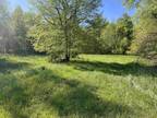 Plot For Sale In Sherwood, Michigan