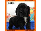 Astro