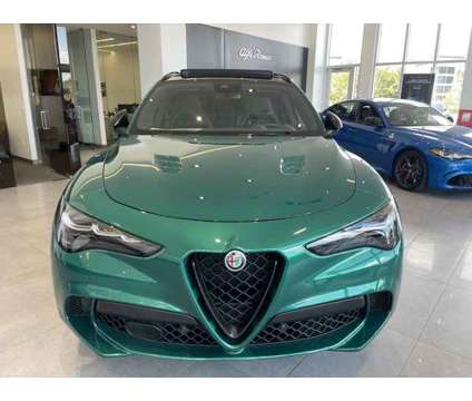 2024 Alfa Romeo Stelvio Quadrifoglio is a 2024 Alfa Romeo Stelvio Quadrifoglio SUV in Pinellas Park FL