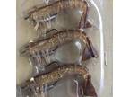 3pk Vudu Shrimp Natural Brown Egret Lure Bait Co Artificial