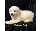 Yellow girl