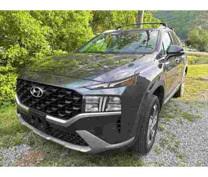 2023 Hyundai Santa Fe SEL is a Grey 2023 Hyundai Santa Fe SUV in Pikeville KY