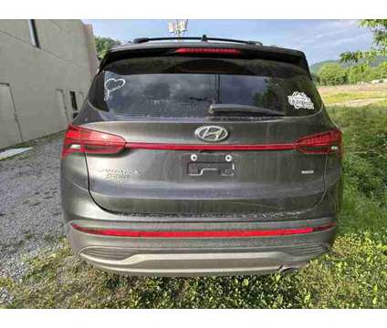 2023 Hyundai Santa Fe SEL is a Grey 2023 Hyundai Santa Fe SUV in Pikeville KY