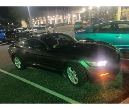 2015 Ford Mustang EcoBoost is a 2015 Ford Mustang EcoBoost Car for Sale in Orlando FL