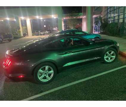 2015 Ford Mustang EcoBoost is a 2015 Ford Mustang EcoBoost Car for Sale in Orlando FL