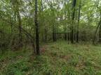 Plot For Sale In Webster, Texas