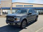 2018 Ford F-150 Gray