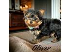 Oliver