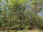 Plot For Sale In Crossville, Tennessee