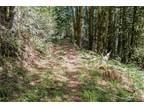 Plot For Sale In Lilliwaup, Washington