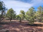 Plot For Sale In Show Low, Arizona