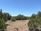 Plot For Sale In Show Low, Arizona