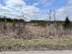 Plot For Sale In Newberry, Michigan