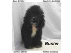 Buster