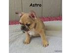 Astro