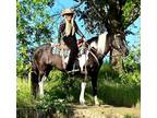 JERSEY â 2012 GRADE Black & White Quarter Pony Mare! Go to