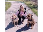Experienced Pet Sitter/ dog walker in Cambridge, Ontario - Trustworthy