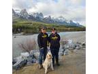 Experienced & Reliable Pet Sitter in Wainwright No. 61, Alberta - $30 Daily
