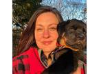 Experienced Shelburne Pet Sitter Trustworthy & Affordable Care