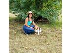 Experienced and Affordable Pet Sitter in Lufkin, Texas - $20 Daily