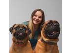 Experienced and Reliable Pet Sitter in Pinellas and Surrounding Counties