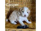 Casper