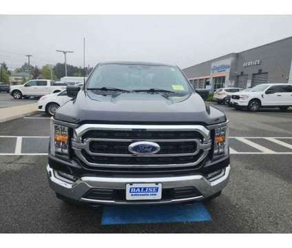 2023 Ford F-150 XLT is a Black 2023 Ford F-150 XLT Car for Sale in Wilbraham MA